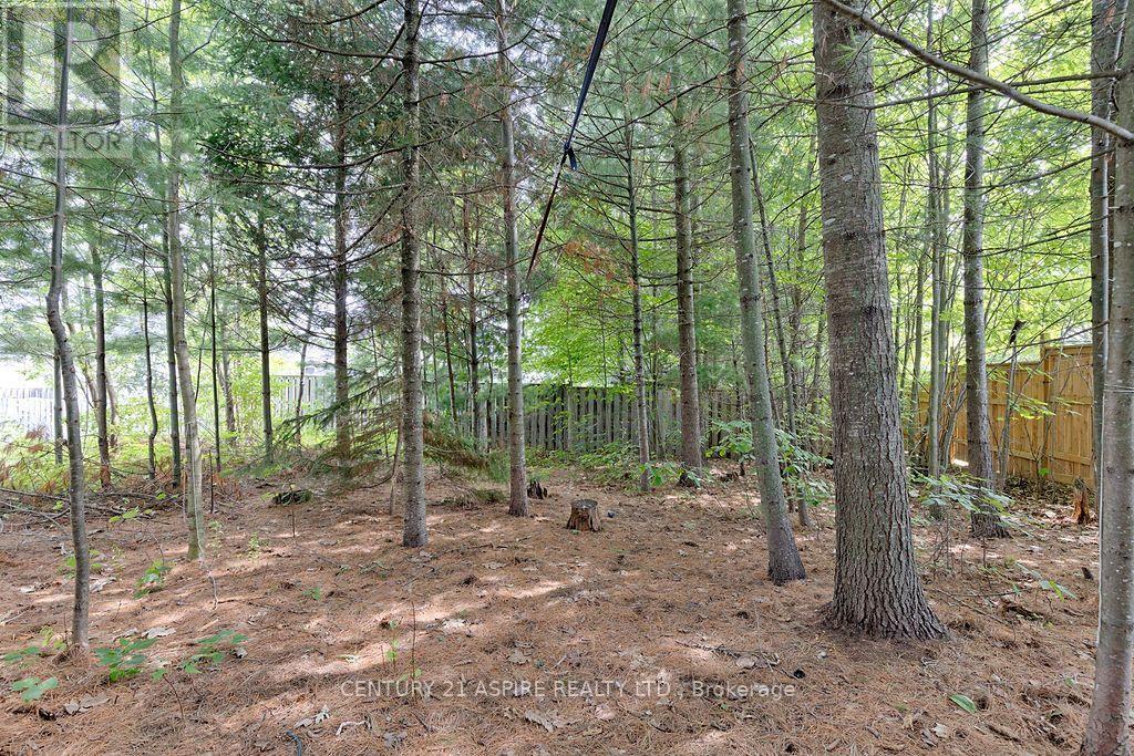 12 Bedard Boulevard, Petawawa, Ontario  K8H 0B7 - Photo 35 - X13661354