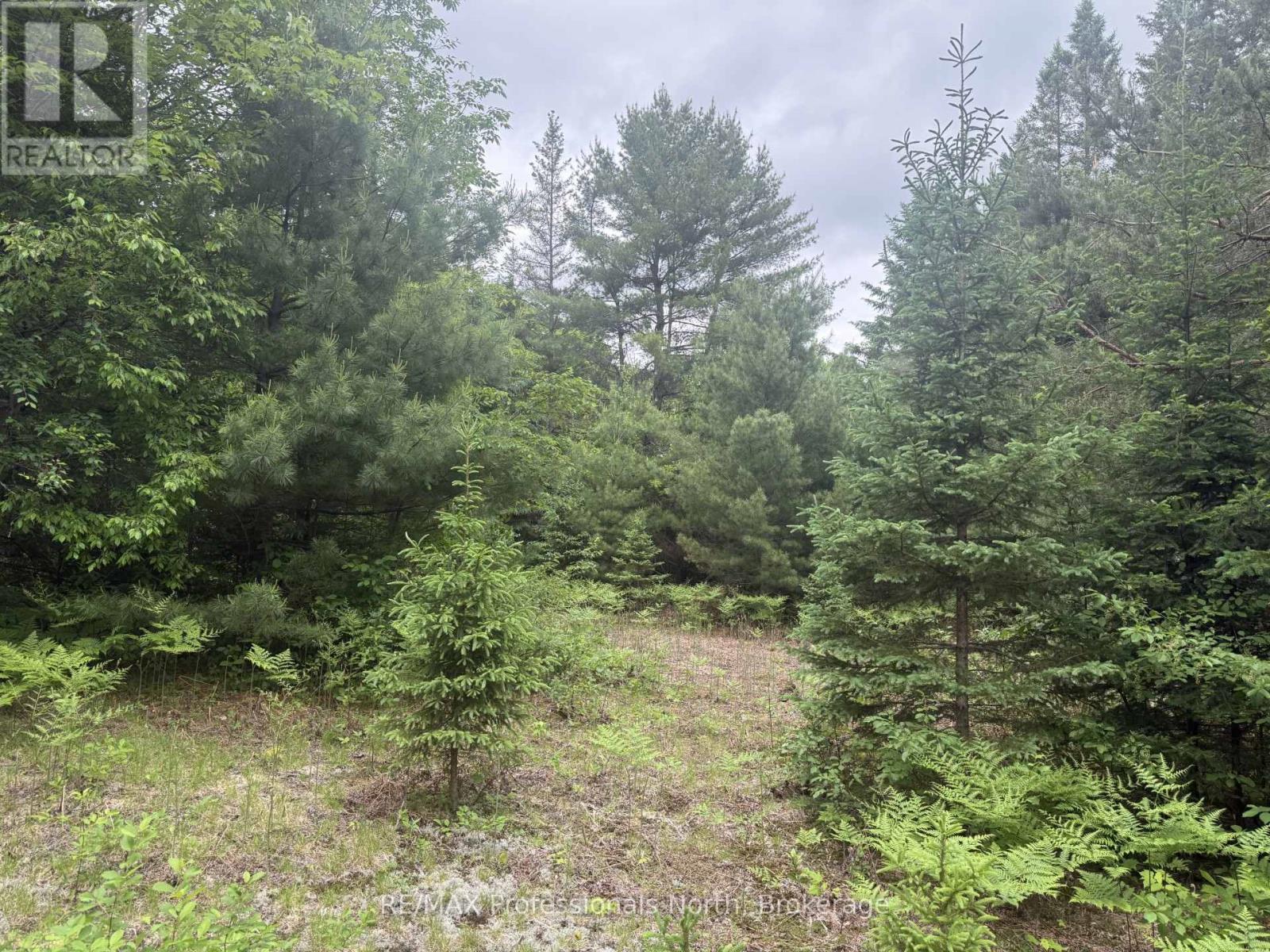 1313 Williamsport Road N, Huntsville, Ontario  P1H 2J4 - Photo 10 - X13442036