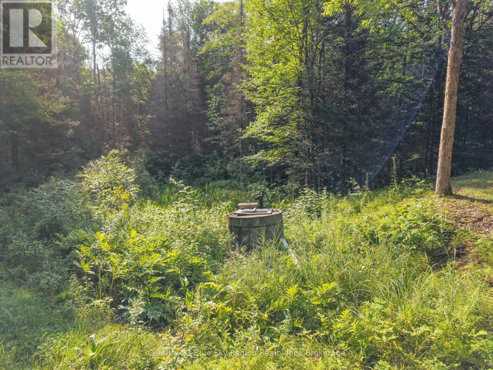 Lot 7 Part Of Lot 6 Con 5 South Shore Road, Bonfield, Ontario  P0H 1E0 - Photo 25 - X13661176