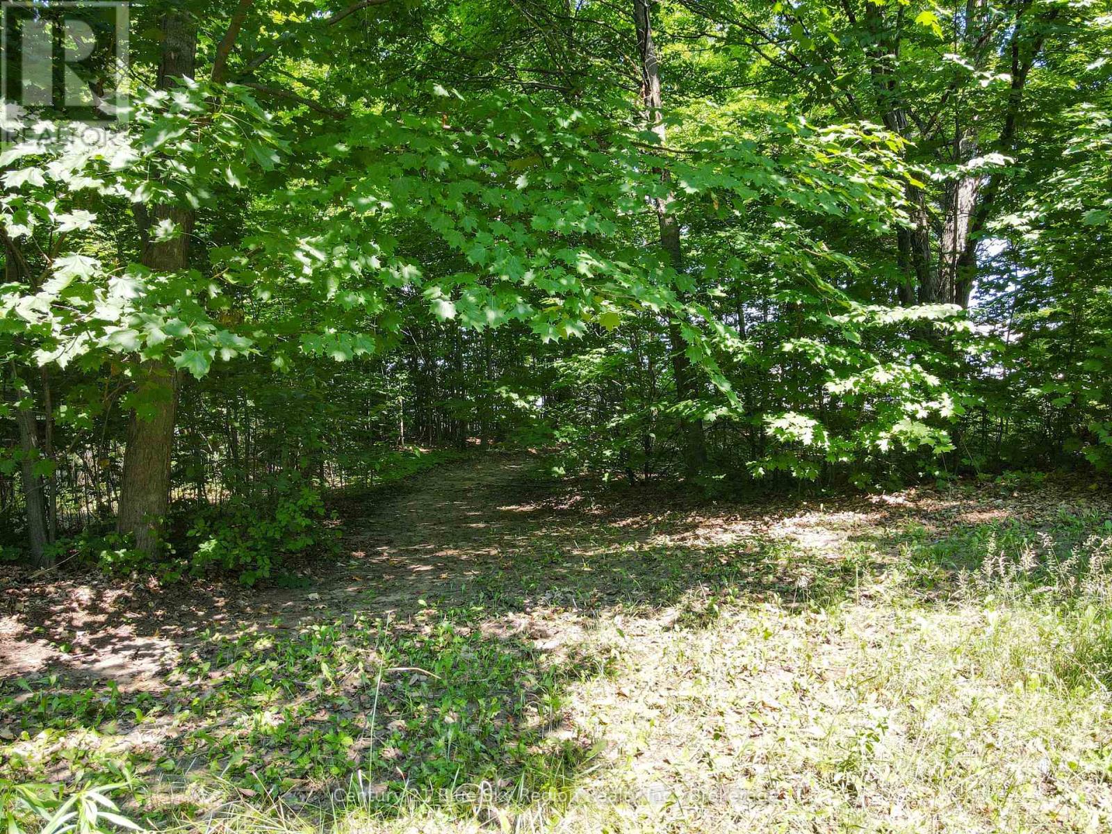 732 Airport Road, North Bay, Ontario  P1C 1A2 - Photo 47 - X13661280