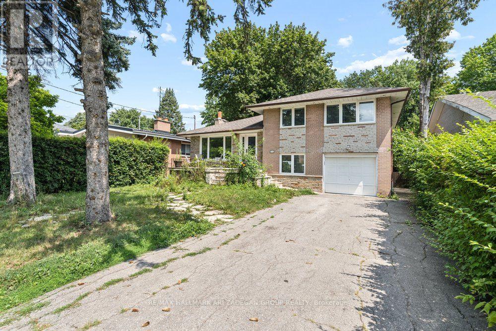 Main Fl - 231 Goulding Avenue, Toronto, Ontario  M2R 2P6 - Photo 4 - C13661140