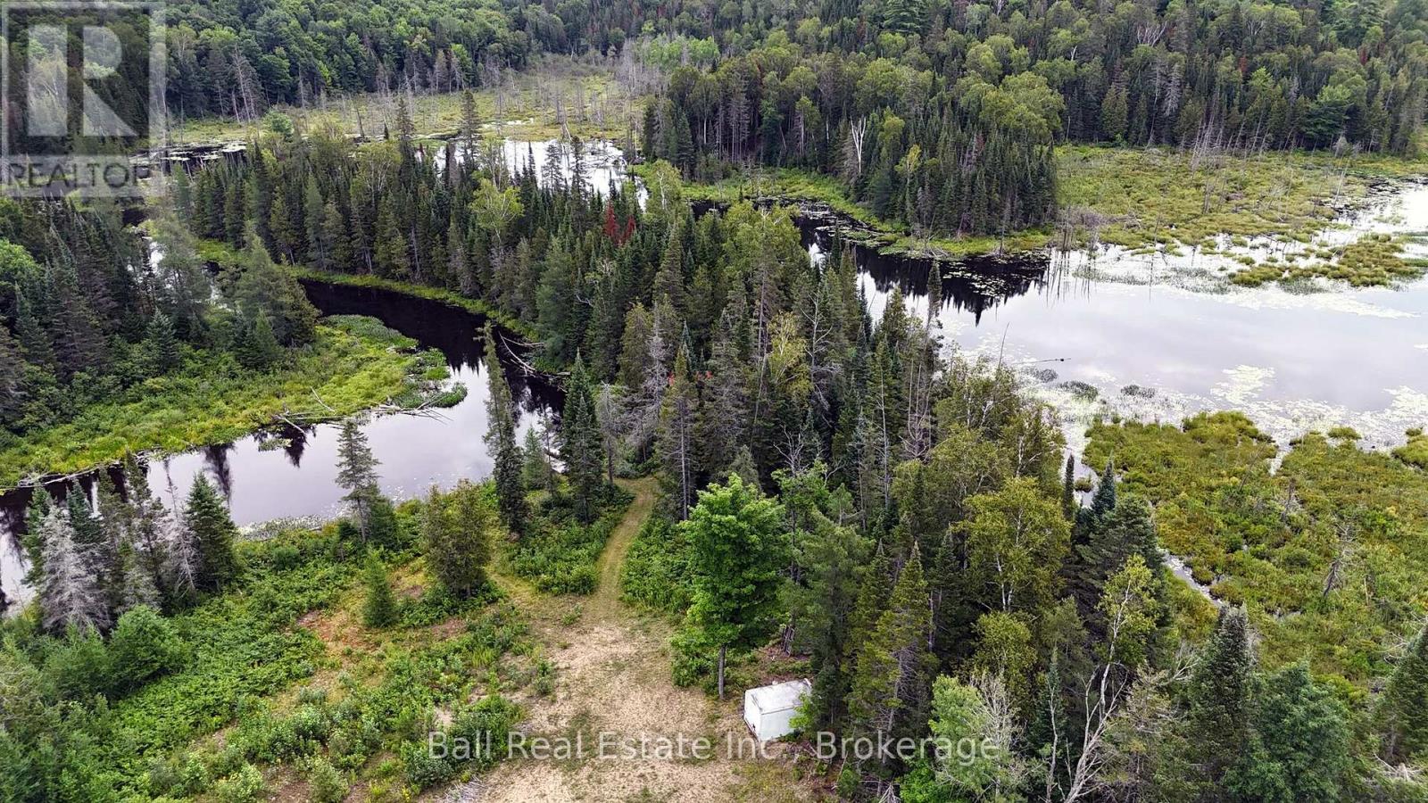 19573 Highway #118 Highway E, Highlands East, Ontario  K0L 3C0 - Photo 12 - X13658562