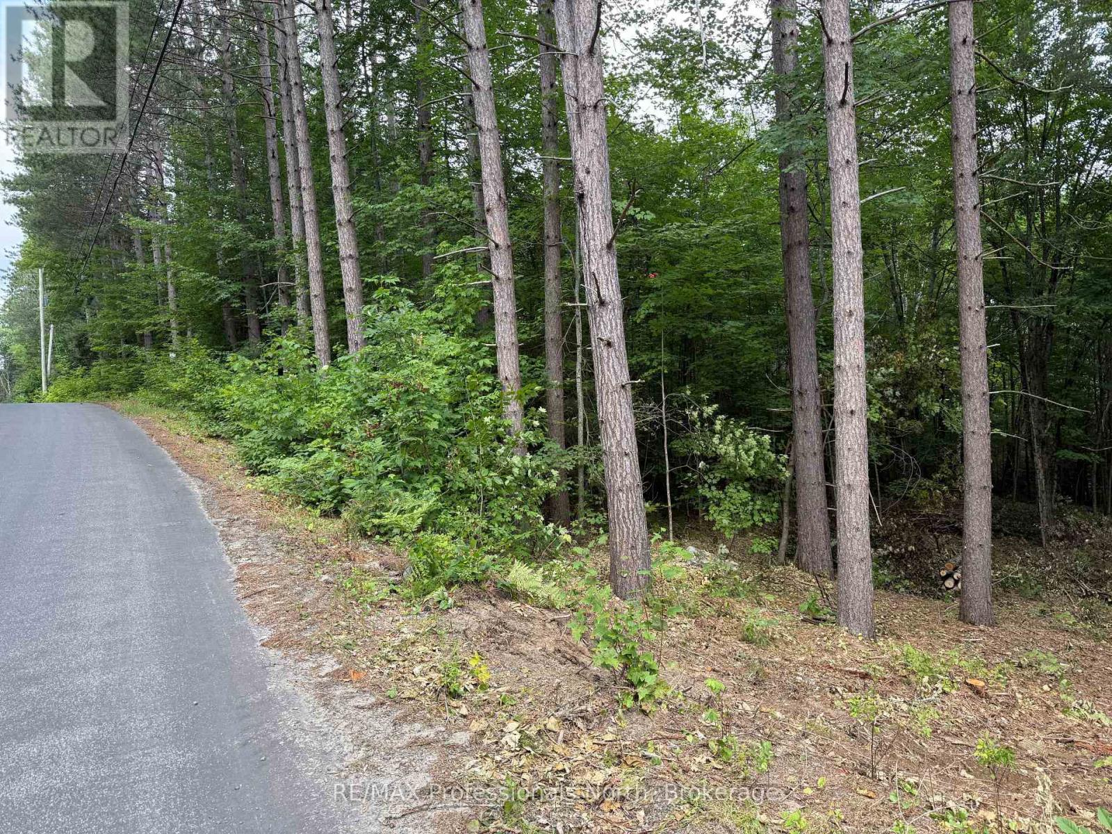 1333 Williamsport Road N, Huntsville, Ontario  P1H 2J4 - Photo 12 - X13442116