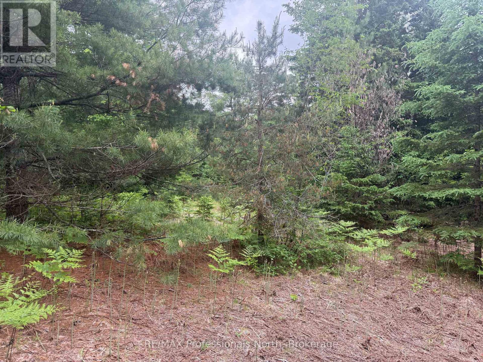 1313 Williamsport Road N, Huntsville, Ontario  P1H 2J4 - Photo 9 - X13442036