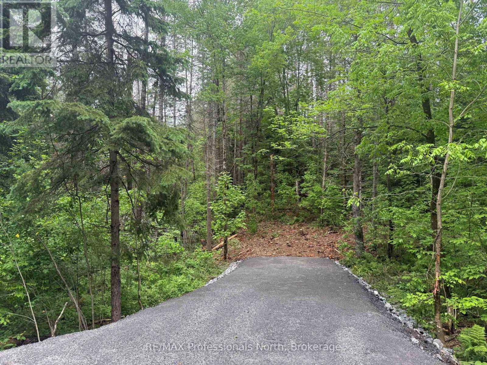 1313 Williamsport Road N, Huntsville, Ontario  P1H 2J4 - Photo 4 - X13442036