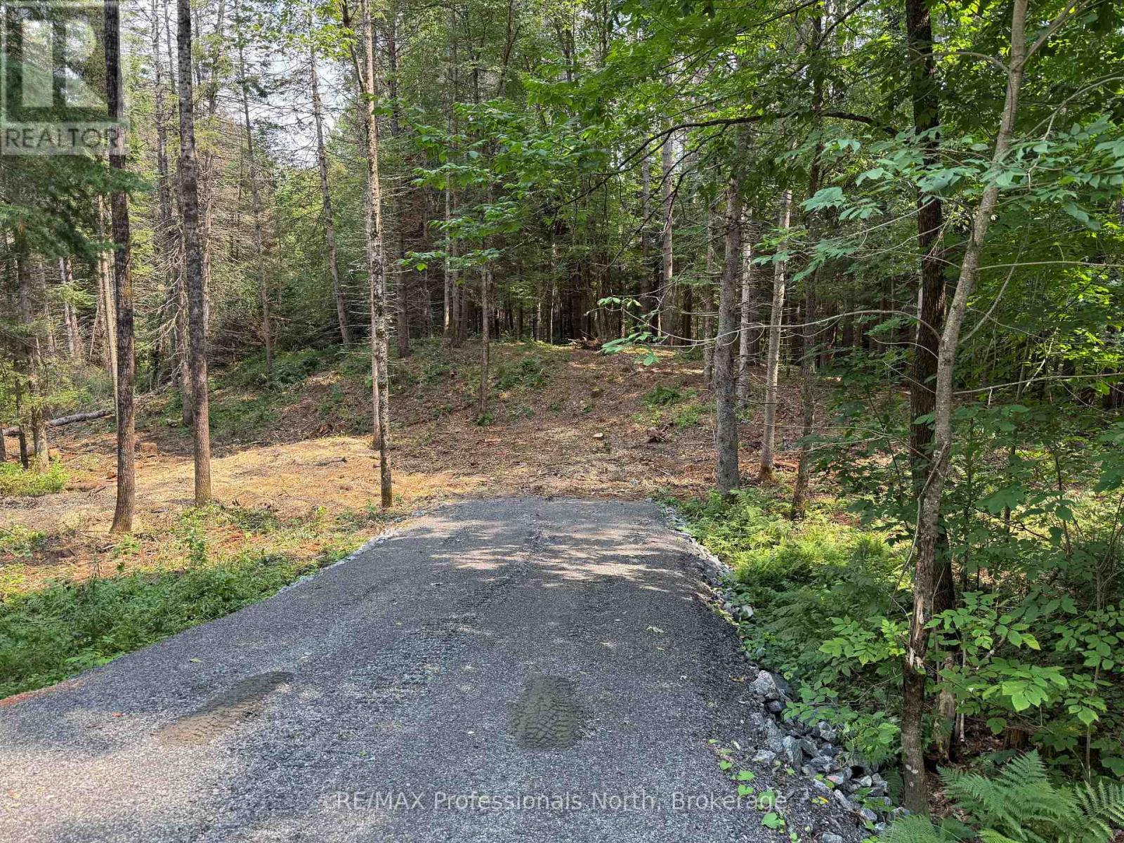 1313 Williamsport Road N, Huntsville, Ontario  P1H 2J4 - Photo 3 - X13442036