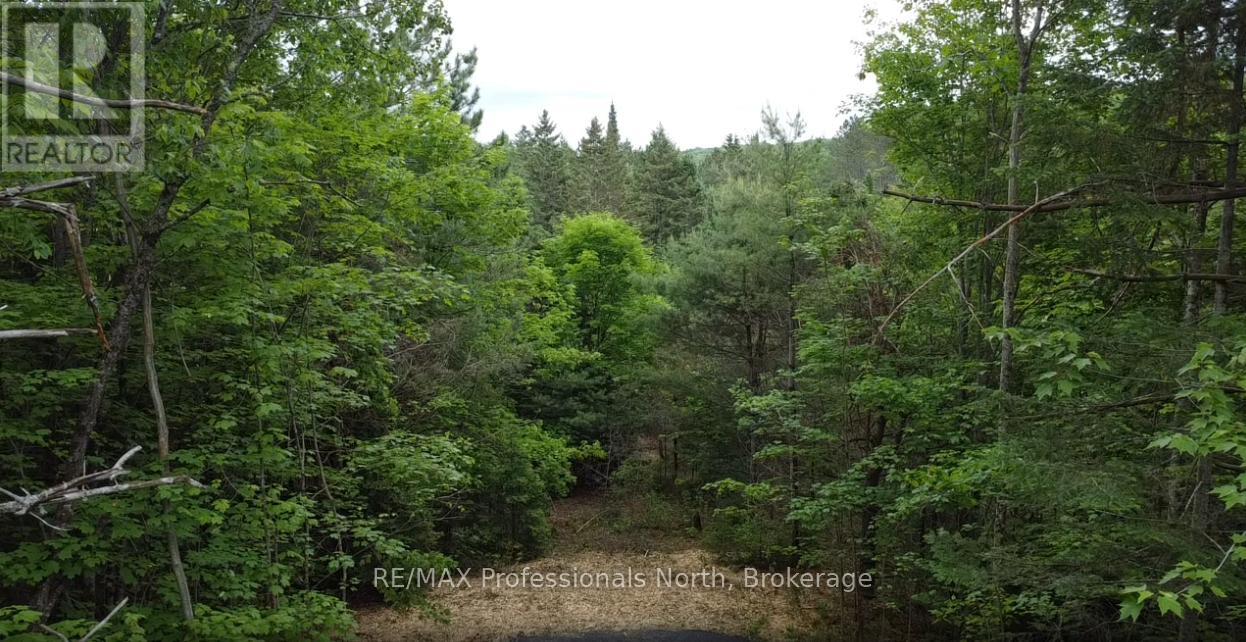 1313 Williamsport Road N, Huntsville, Ontario  P1H 2J4 - Photo 7 - X13442036