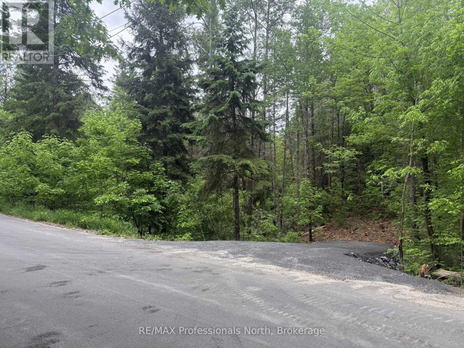 1313 Williamsport Road N, Huntsville, Ontario  P1H 2J4 - Photo 8 - X13442036