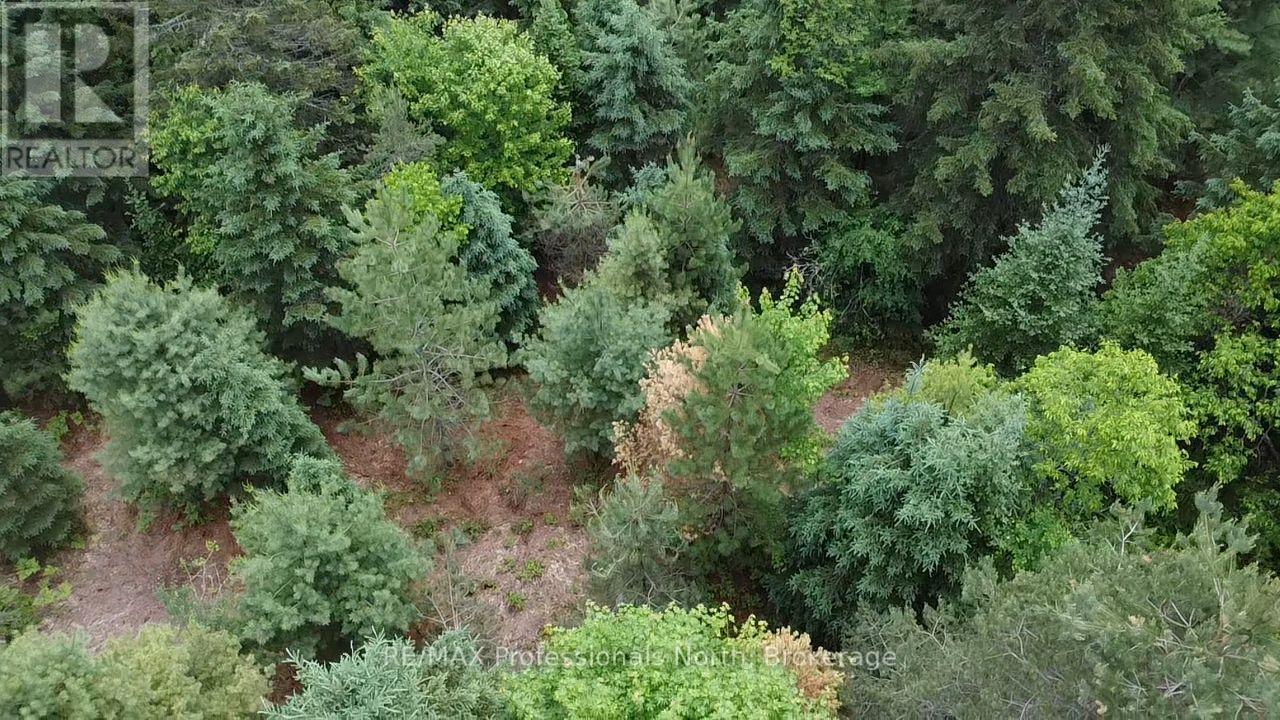 1333 Williamsport Road N, Huntsville, Ontario  P1H 2J4 - Photo 10 - X13442116