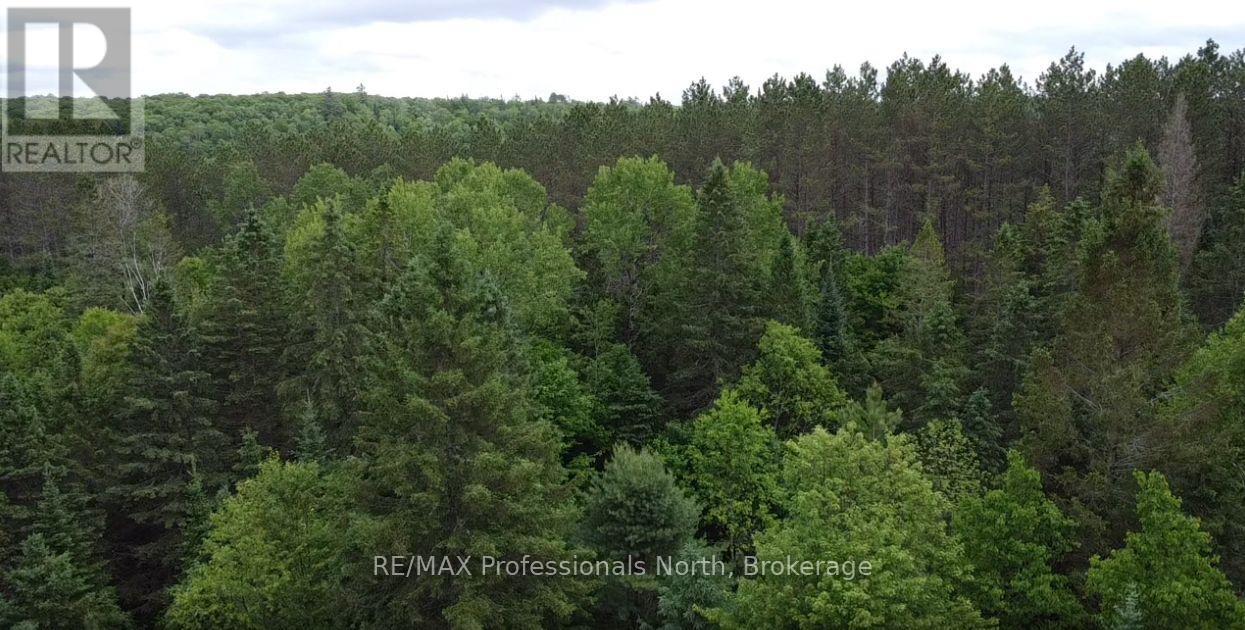 1313 Williamsport Road N, Huntsville, Ontario  P1H 2J4 - Photo 13 - X13442036