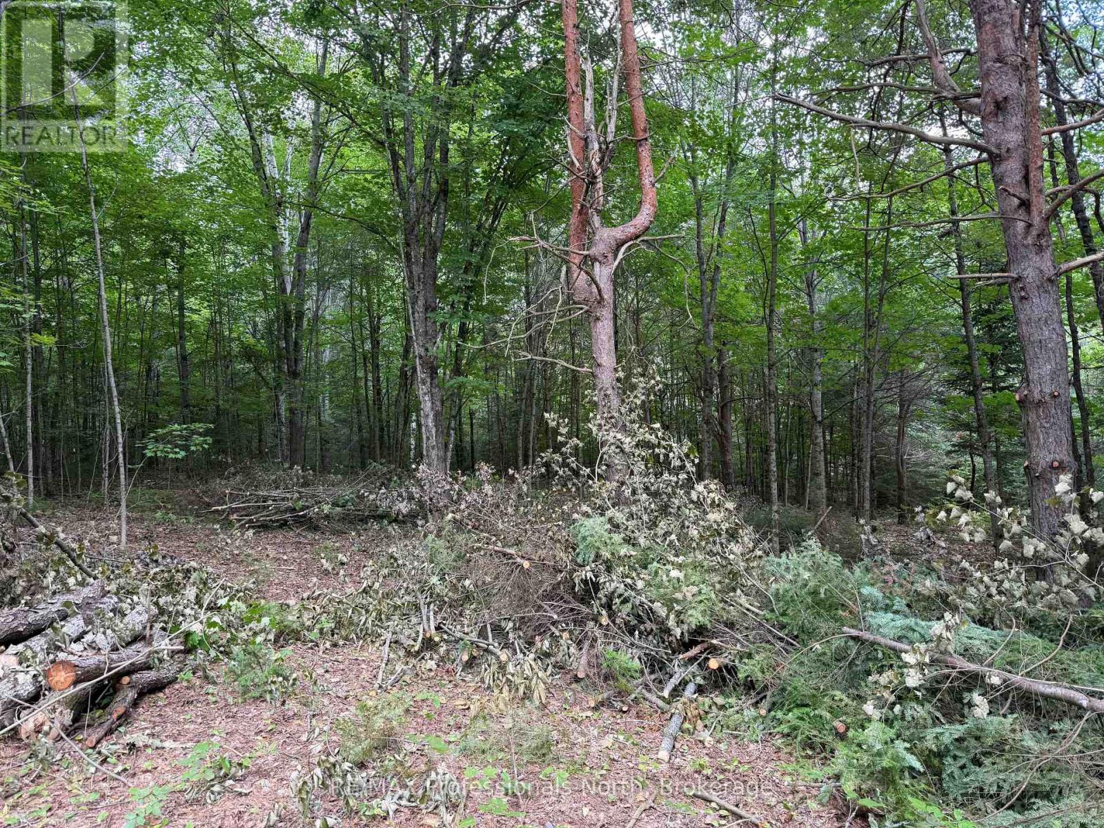 1333 Williamsport Road N, Huntsville, Ontario  P1H 2J4 - Photo 2 - X13442116