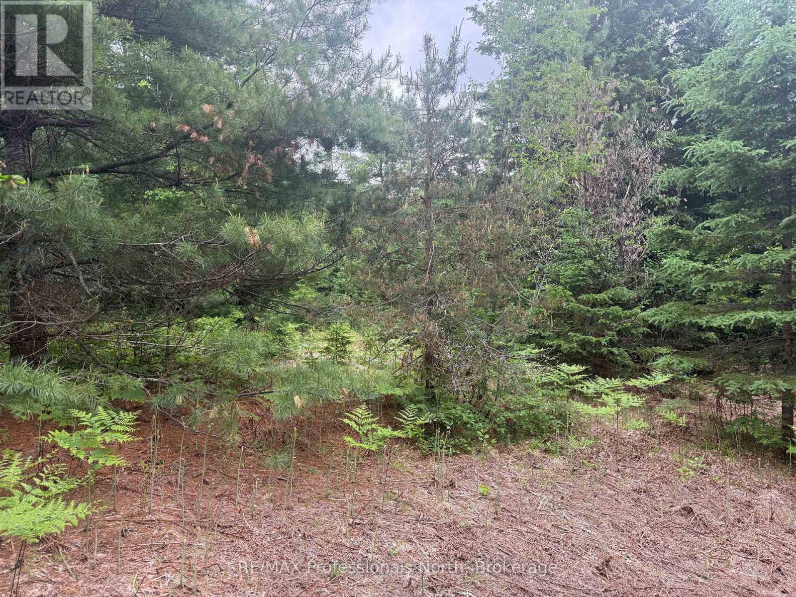 1333 Williamsport Road N, Huntsville, Ontario  P1H 2J4 - Photo 11 - X13442116