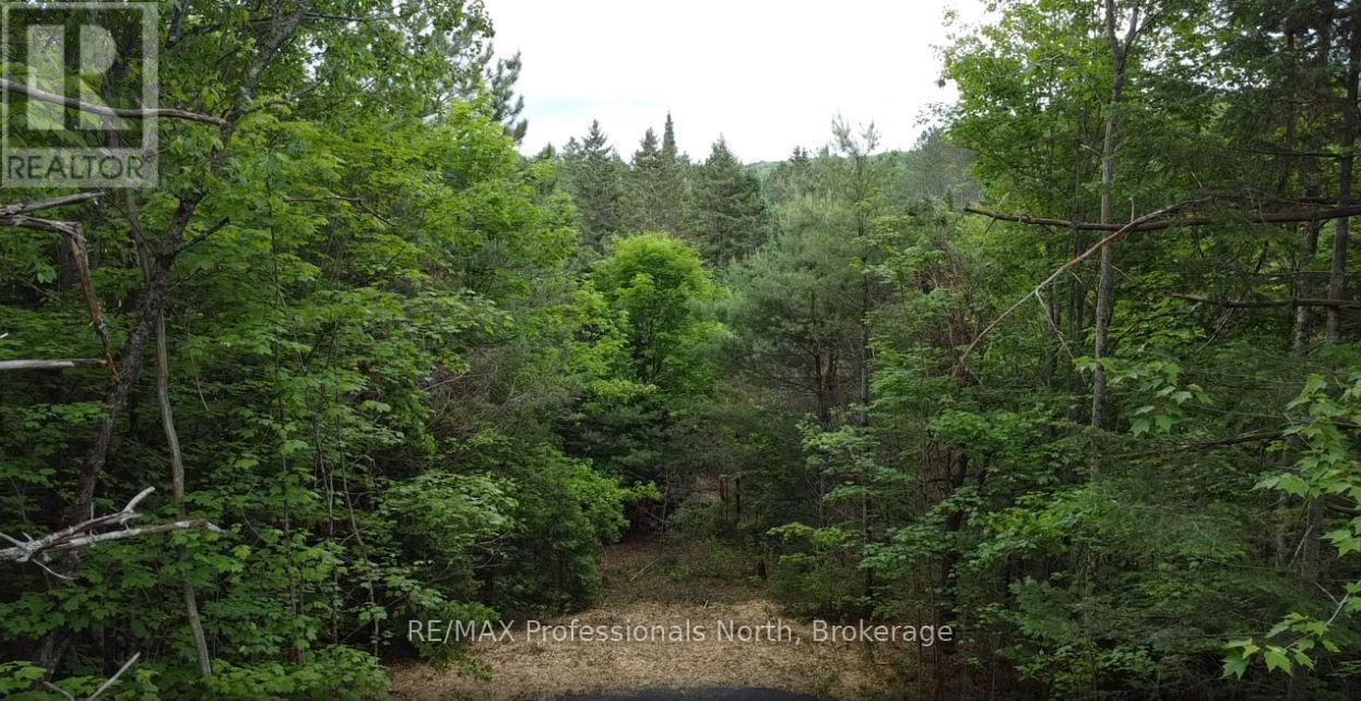 1333 Williamsport Road N, Huntsville, Ontario  P1H 2J4 - Photo 3 - X13442116