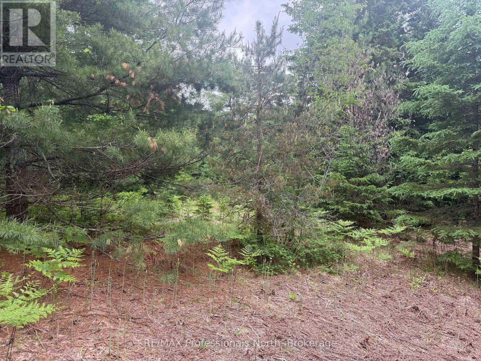 1333 Williamsport Road N, Huntsville, Ontario  P1H 2J4 - Photo 4 - X13442116