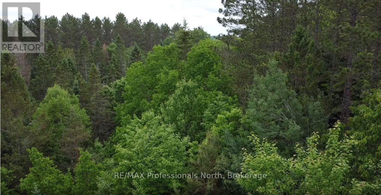 1333 Williamsport Road N, Huntsville, Ontario  P1H 2J4 - Photo 8 - X13442116