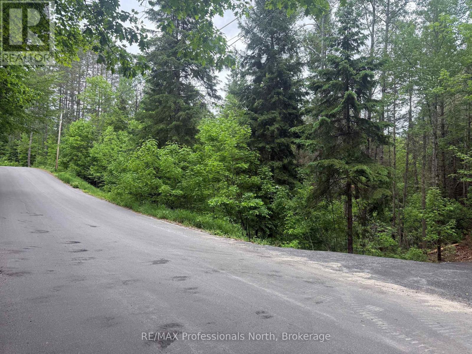 1333 Williamsport Road N, Huntsville, Ontario  P1H 2J4 - Photo 6 - X13442116