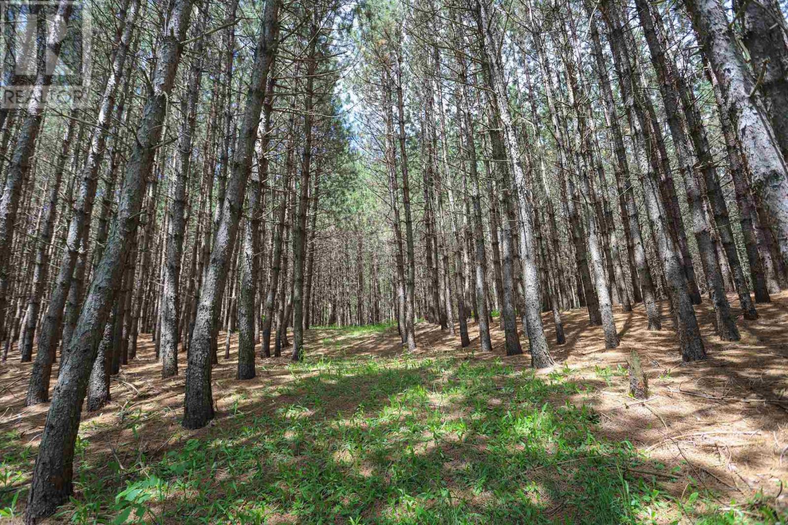2370 Base Line Rd, Prince Township, Ontario  P6A 6K4 - Photo 43 - SM261530