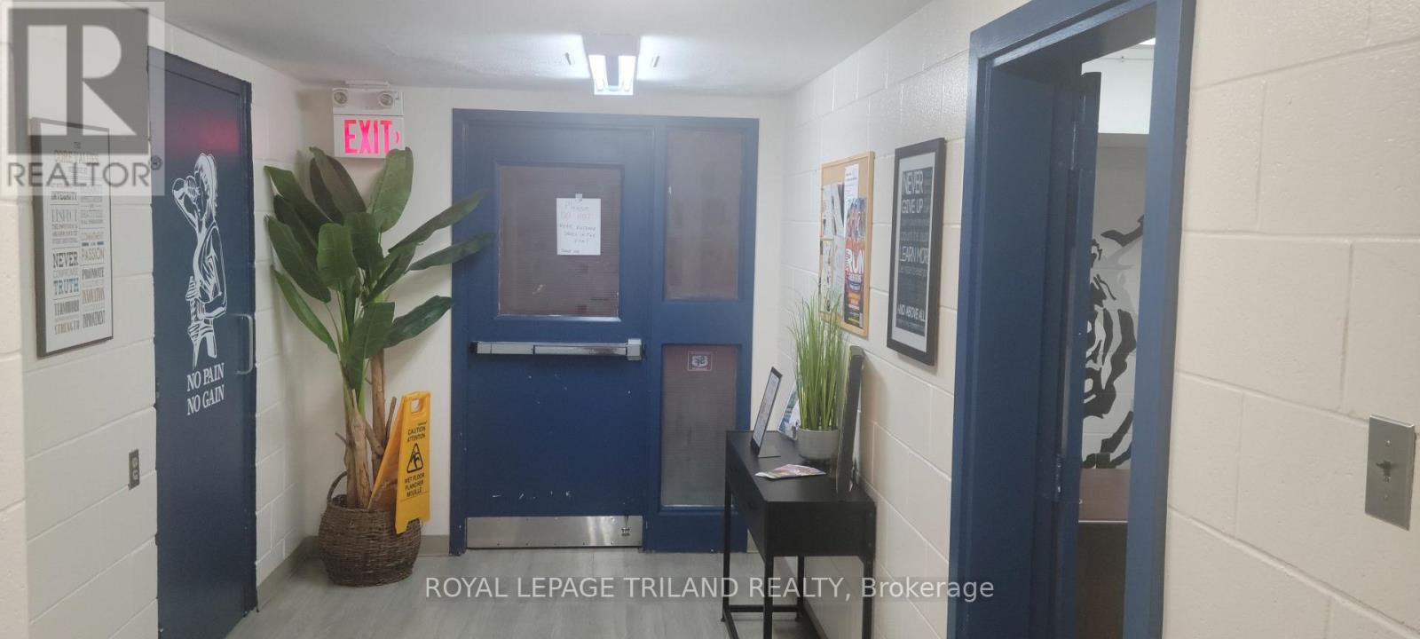 Lower Level - 170 Wellington Street, St. Thomas, Ontario  N5R 2S1 - Photo 11 - X13661562