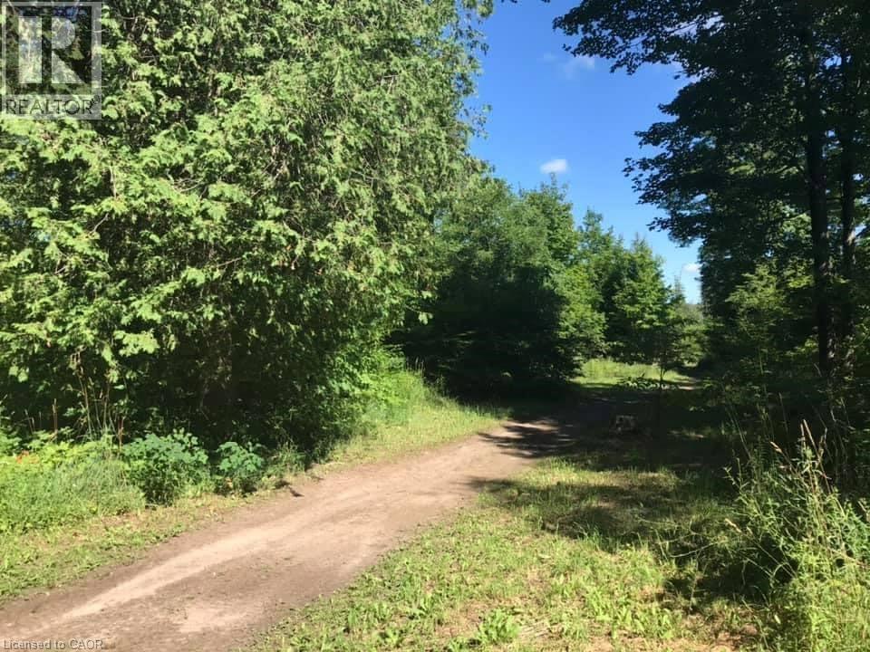 Pt Lt 48 Concession 3 Road, West Grey, Ontario  N0C 1K0 - Photo 2 - 40854815