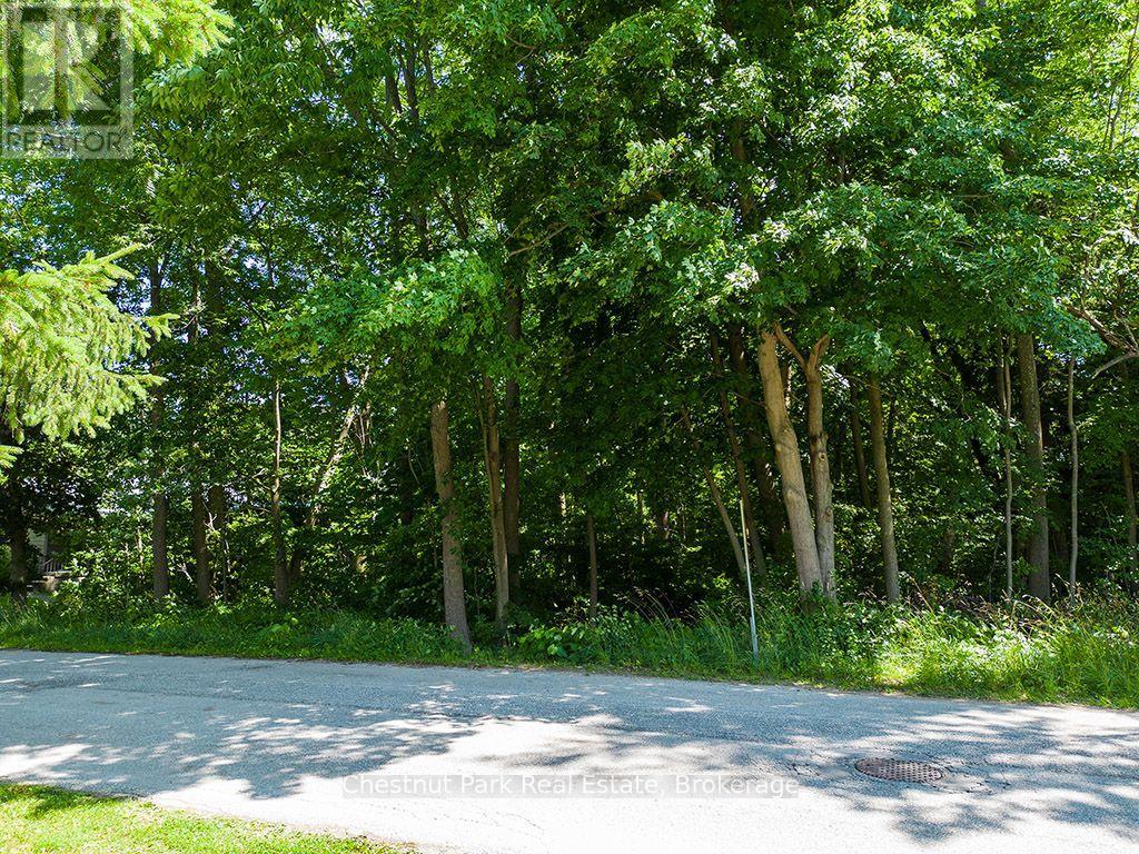227 Eliza Street, Meaford, Ontario  N4L 1B4 - Photo 11 - X13661584