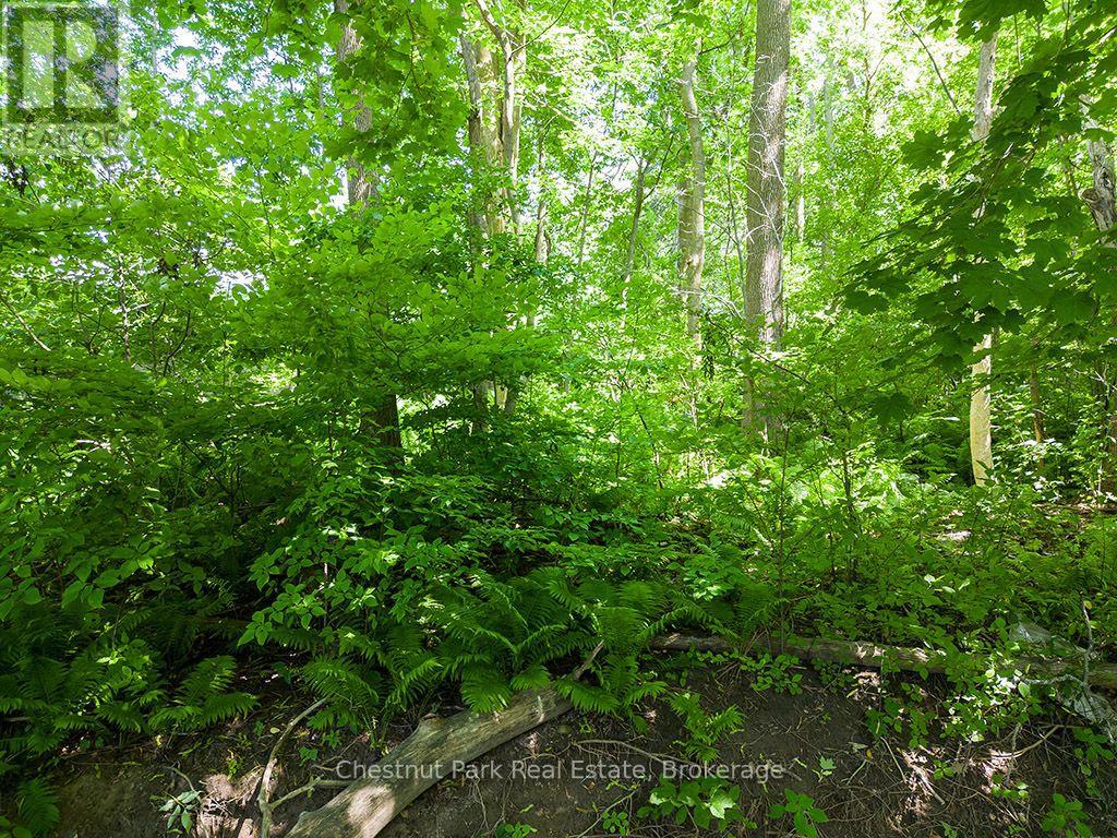 227 Eliza Street, Meaford, Ontario  N4L 1B4 - Photo 14 - X13661584