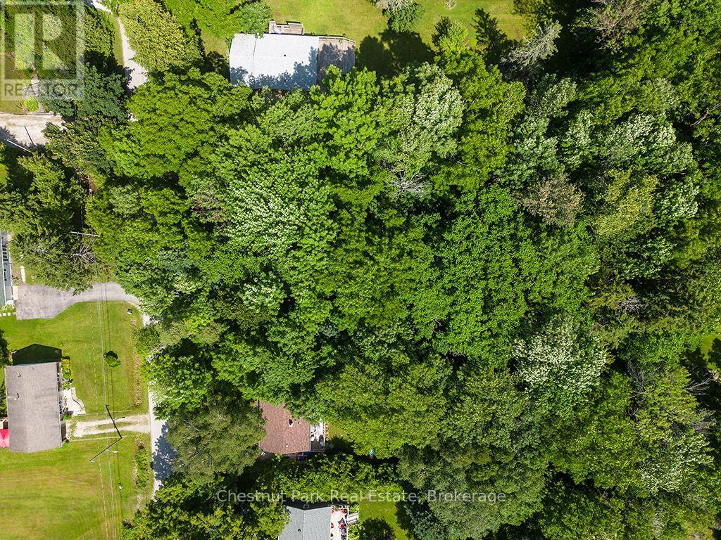 227 Eliza Street, Meaford, Ontario  N4L 1B4 - Photo 16 - X13661584