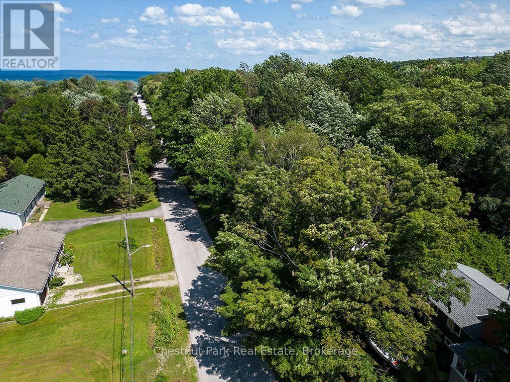 227 Eliza Street, Meaford, Ontario  N4L 1B4 - Photo 7 - X13661584