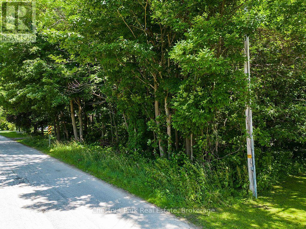 227 Eliza Street, Meaford, Ontario  N4L 1B4 - Photo 9 - X13661584