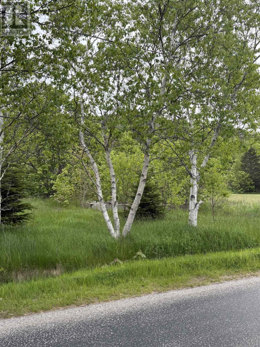 262 Trout Cove Road, Centreville, Nova Scotia  B0V 1A0 - Photo 3 - 202614881