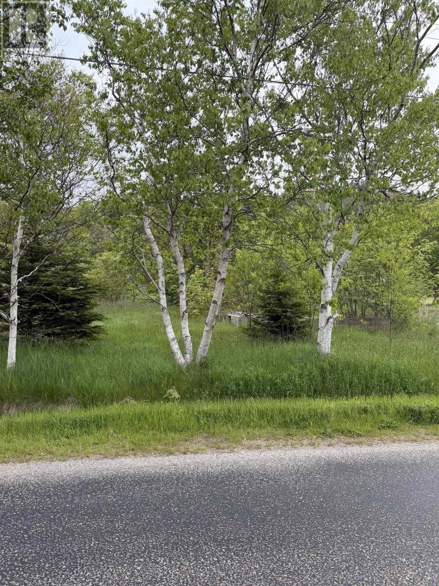 262 Trout Cove Road, Centreville, Nova Scotia  B0V 1A0 - Photo 2 - 202614881