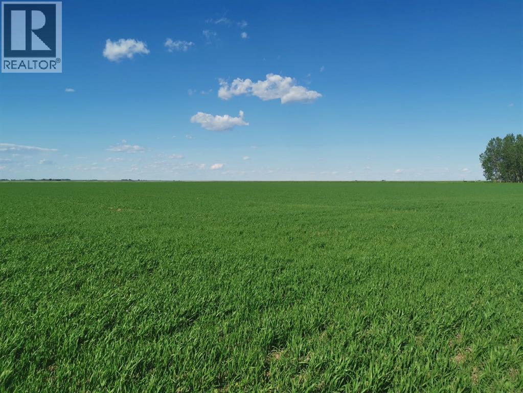 162 Hays Rd 30 N, Hays, Alberta  T0K 1B0 - Photo 33 - A2290210