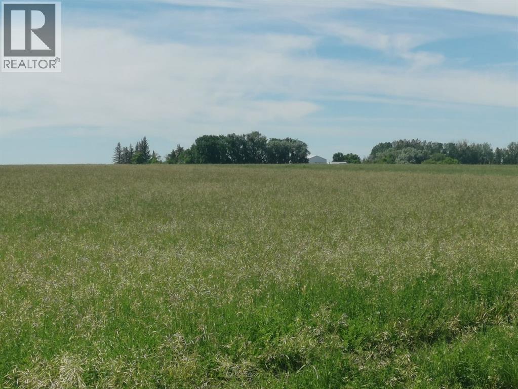 162 Hays Rd 30 N, Hays, Alberta  T0K 1B0 - Photo 30 - A2290210