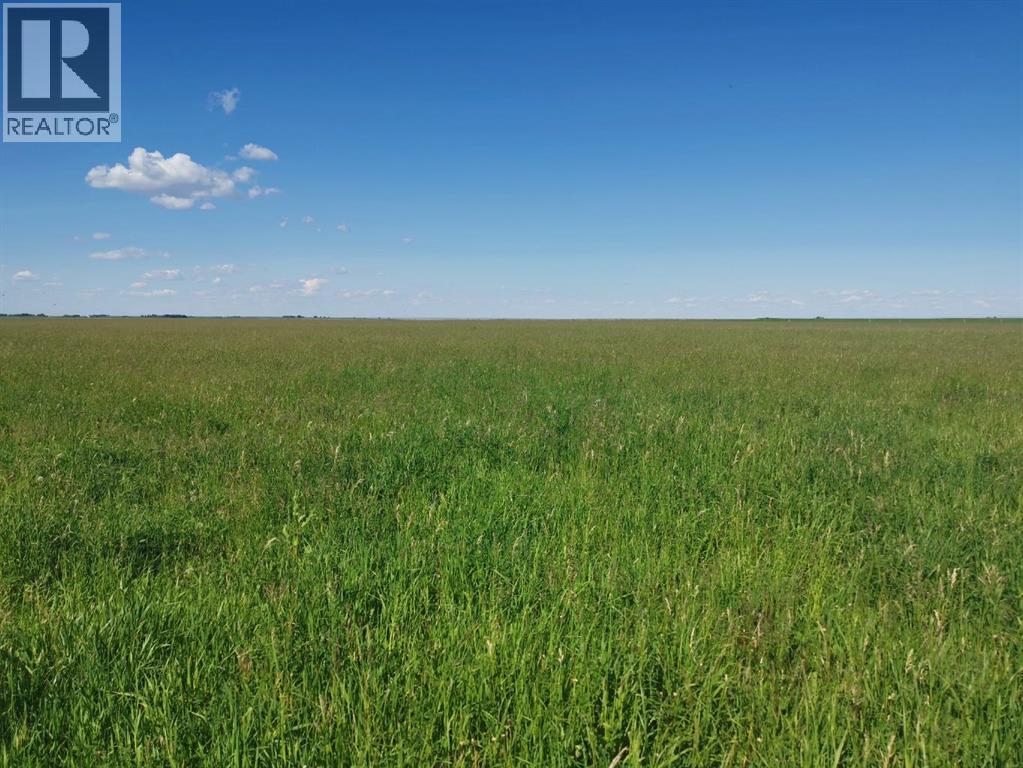 162 Hays Rd 30 N, Hays, Alberta  T0K 1B0 - Photo 32 - A2290210