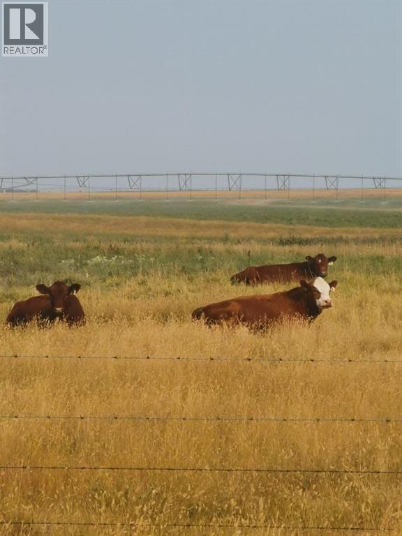 162 Hays Rd 30 N, Hays, Alberta  T0K 1B0 - Photo 15 - A2290210
