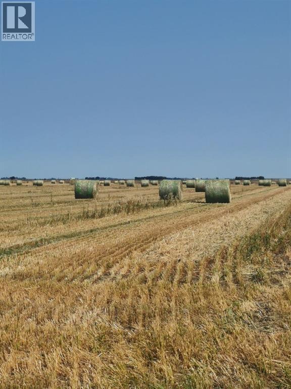 162 Hays Rd 30 N, Hays, Alberta  T0K 1B0 - Photo 4 - A2290210