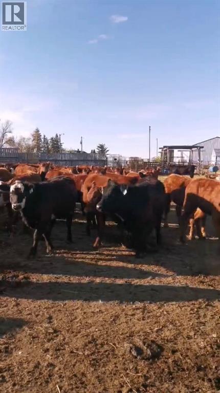 162 Hays Rd 30 N, Hays, Alberta  T0K 1B0 - Photo 19 - A2290210
