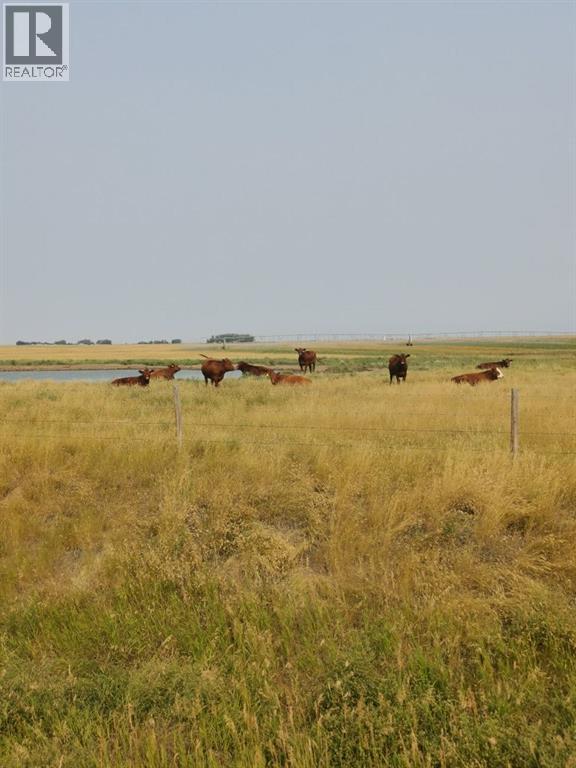 162 Hays Rd 30 N, Hays, Alberta  T0K 1B0 - Photo 16 - A2290210