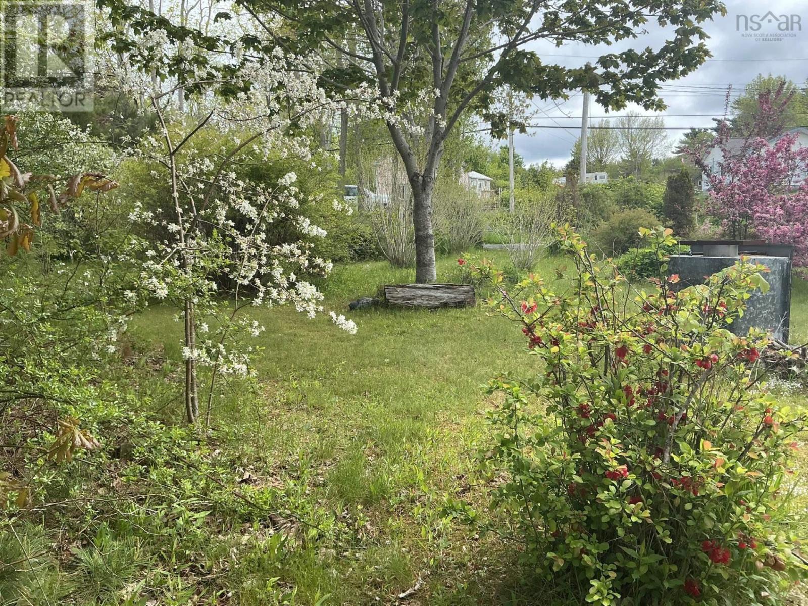 picture 24