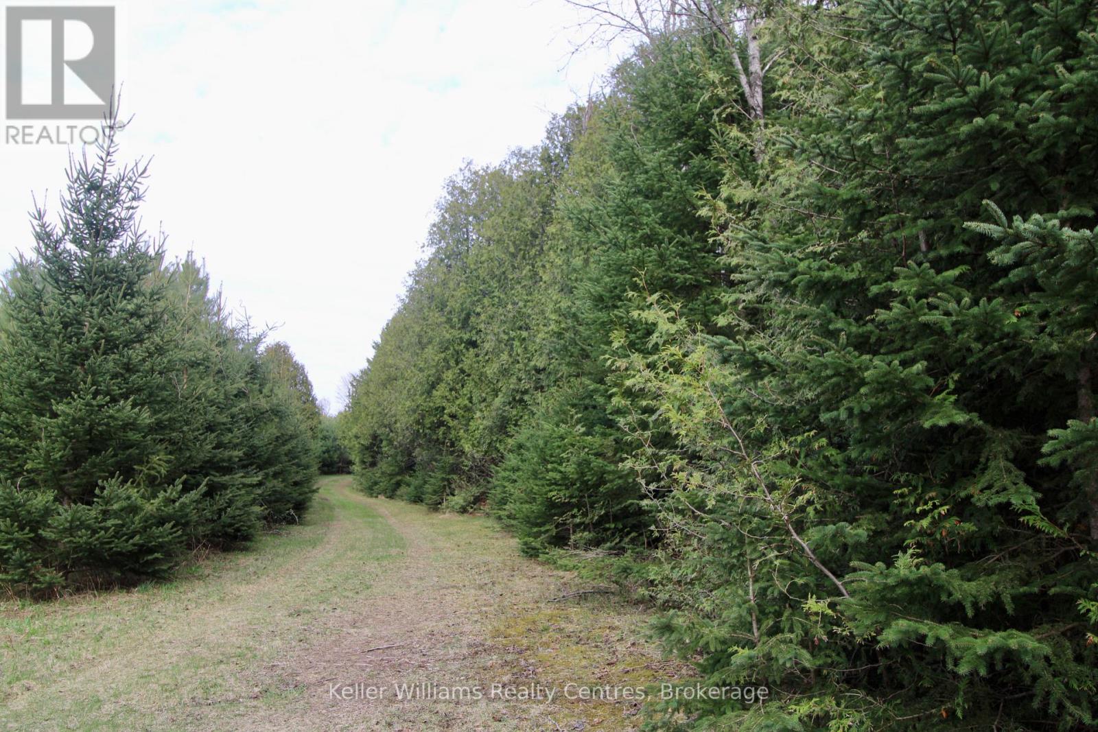Part Of Lt 59 Concession 2 Sdr, West Grey, Ontario N4N 3B8 - Photo 7 - X13058954