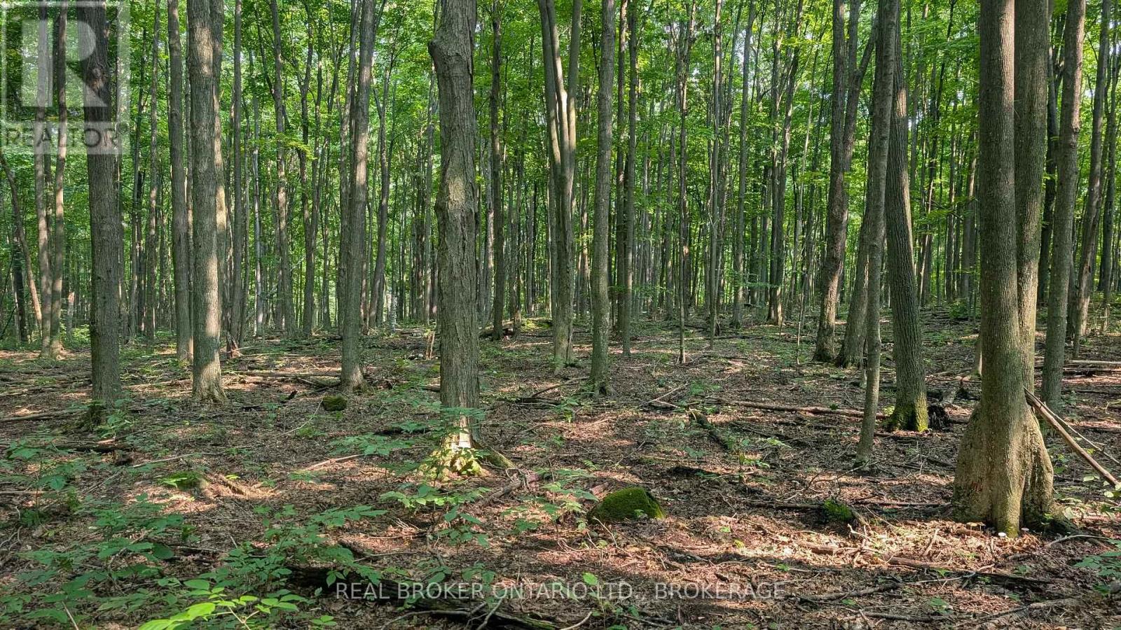 Lot Concession 10 Road, South Glengarry, Ontario K0B 1H0 - Photo 2 - X13662190