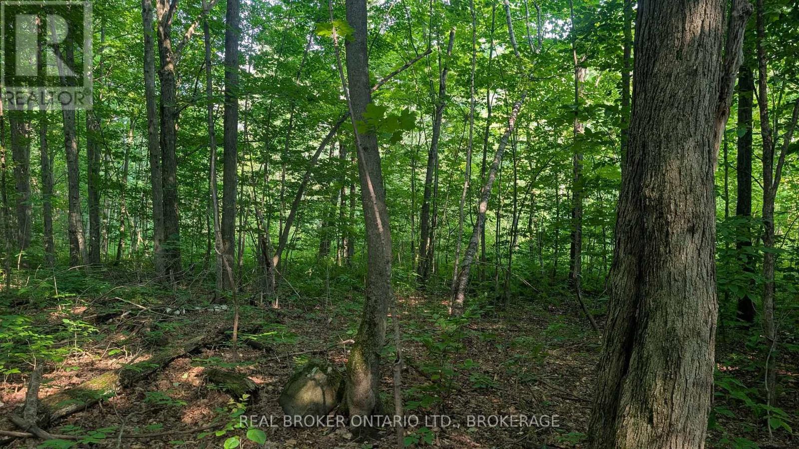 Lot Concession 10 Road, South Glengarry, Ontario K0B 1H0 - Photo 3 - X13662190