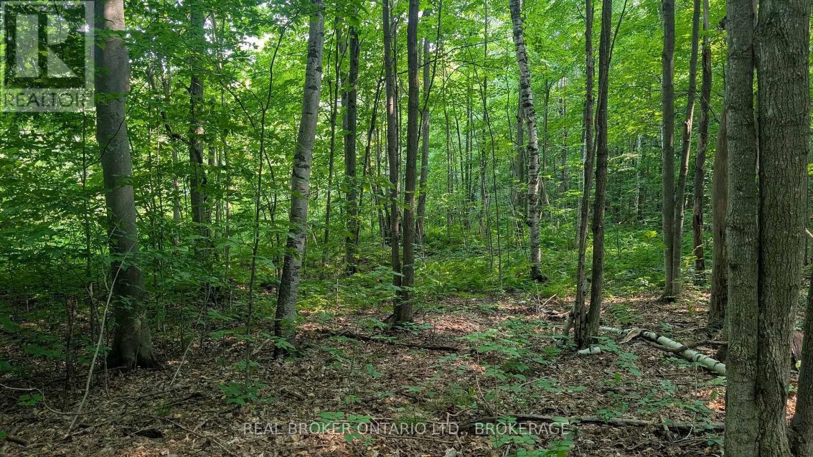 Lot Concession 10 Road, South Glengarry, Ontario K0B 1H0 - Photo 4 - X13662190