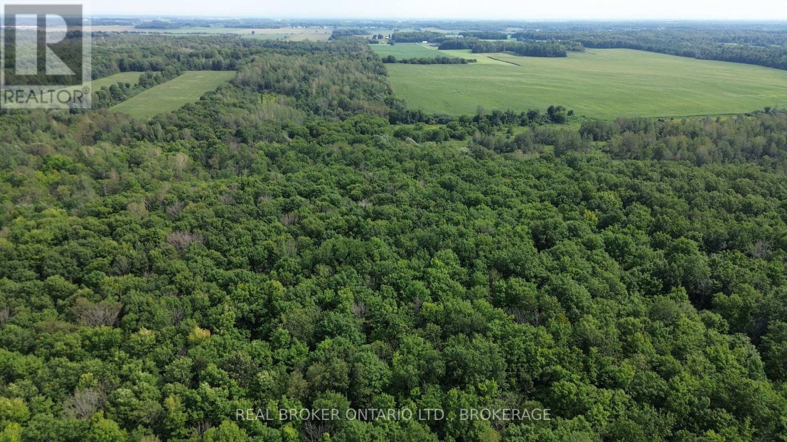 Lot Concession 10 Road, South Glengarry, Ontario K0B 1H0 - Photo 5 - X13662190