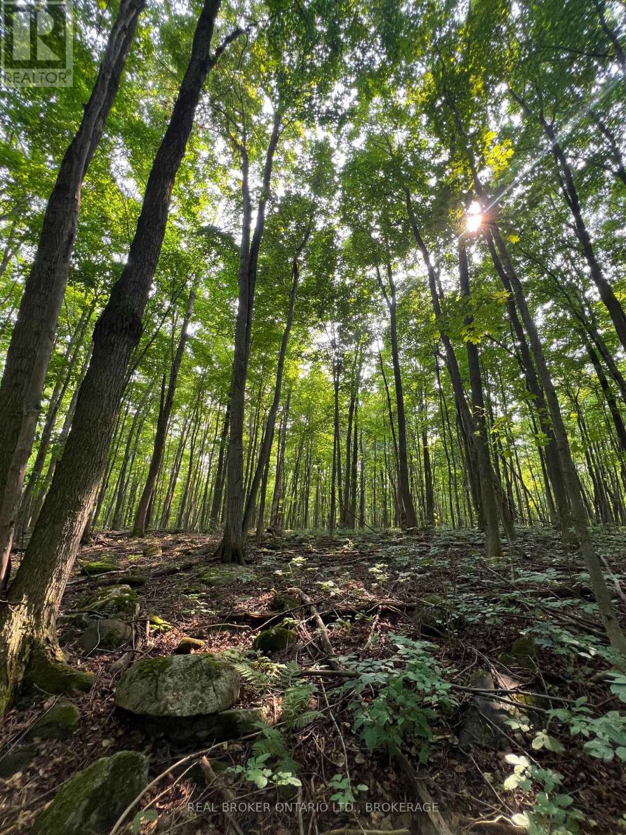 Lot Concession 10 Road, South Glengarry, Ontario K0B 1H0 - Photo 6 - X13662190