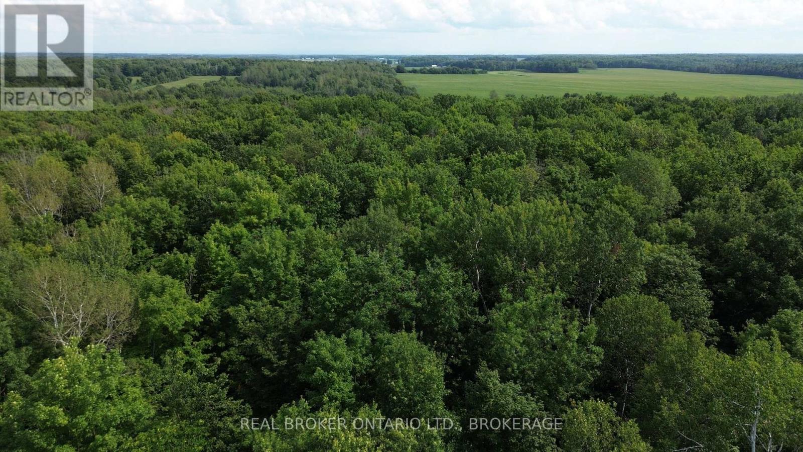 Lot Concession 10 Road, South Glengarry, Ontario  K0B 1H0 - Photo 8 - X13662190