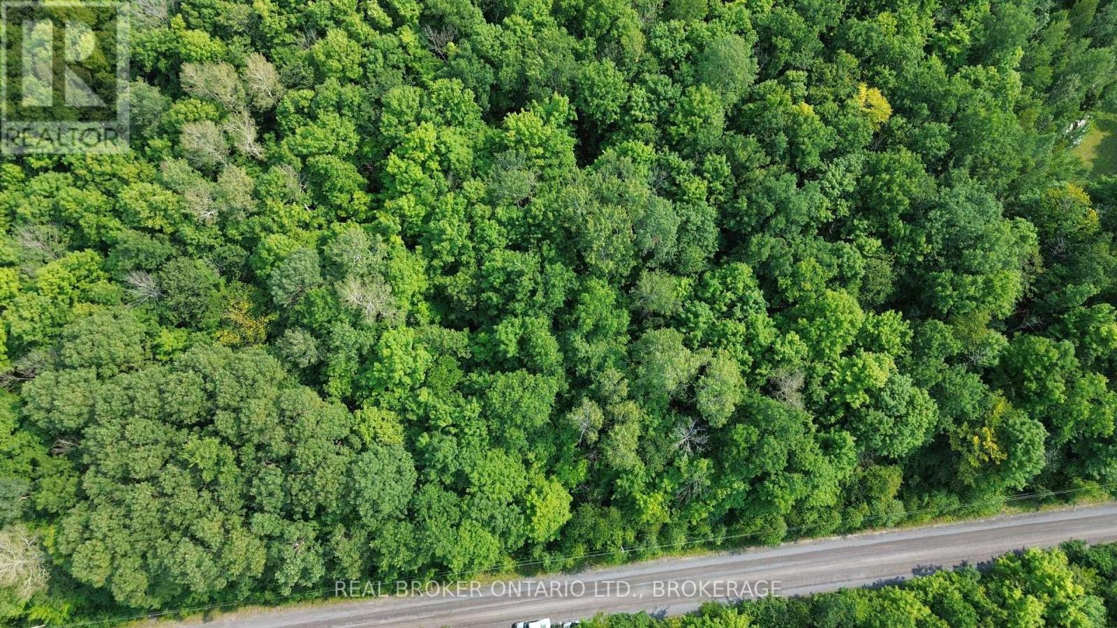 Lot Concession 10 Road, South Glengarry, Ontario  K0B 1H0 - Photo 9 - X13662190