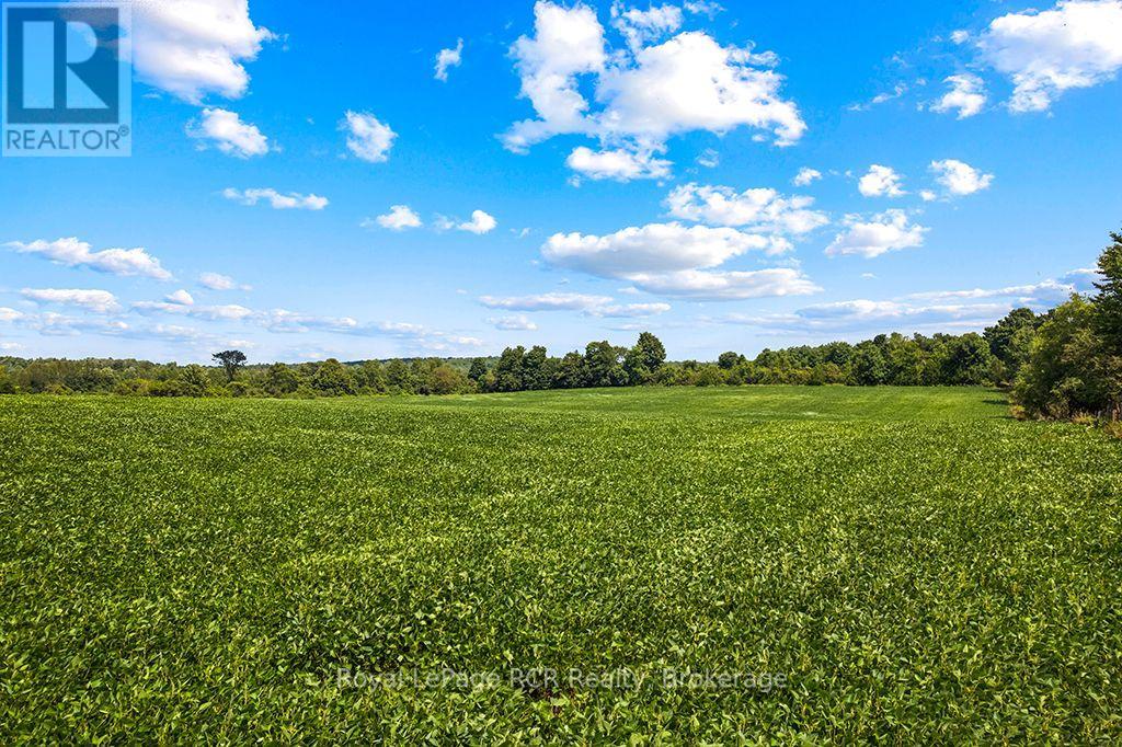 135347 8 Concession, Chatsworth, Ontario  N0H 1K0 - Photo 41 - X13662320