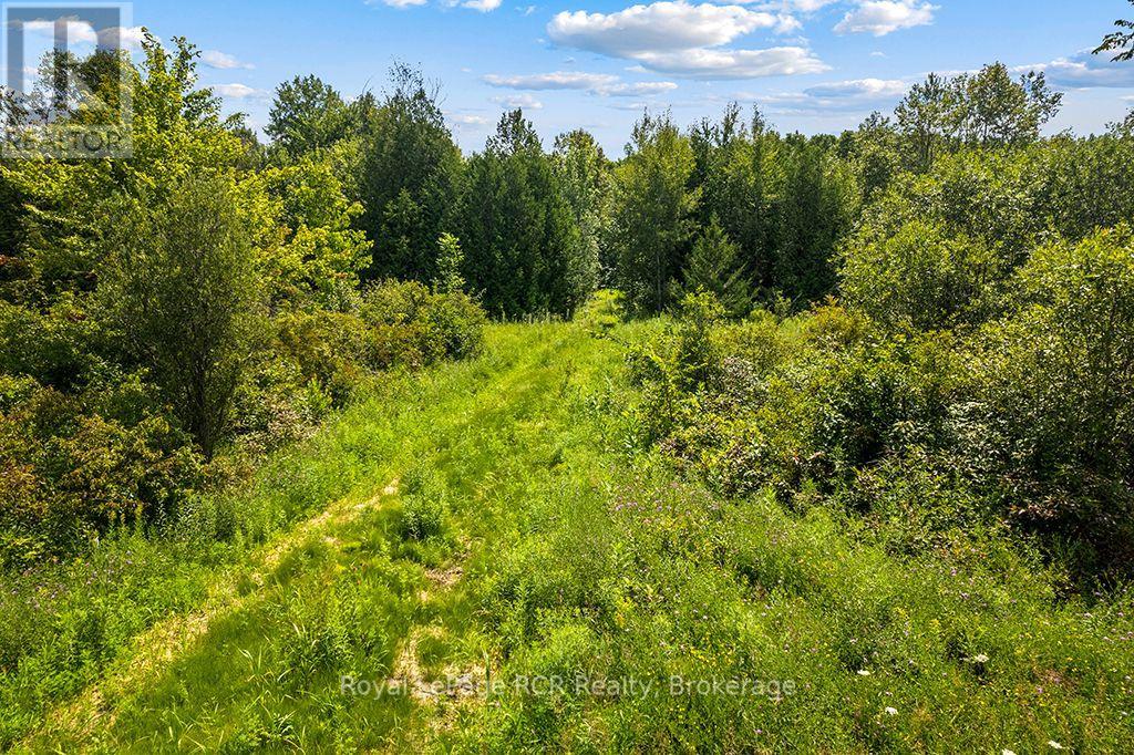 135347 8 Concession, Chatsworth, Ontario  N0H 1K0 - Photo 50 - X13662320