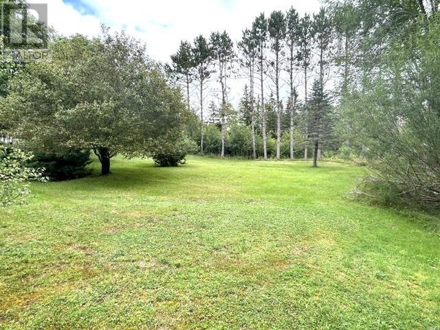 828 Highway 336, Newton Mills, Nova Scotia  B0N 2P0 - Photo 21 - 202620227