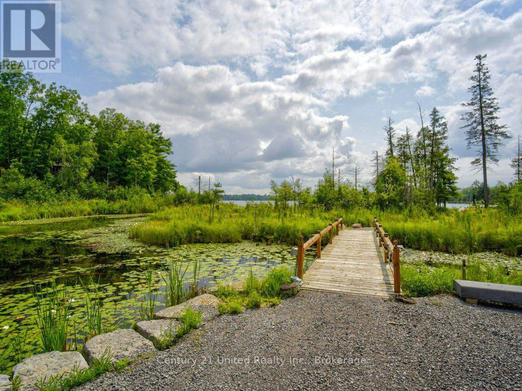 38 Fire Route 37, North Kawartha, Ontario  K0L 3E0 - Photo 32 - X13662580